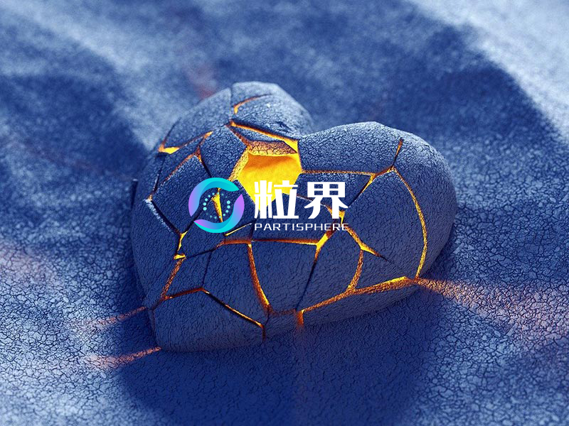 湖南粒界教育科技有限公司：专注影视职业教育，AI辅助教学提升学员就业竞争力